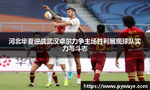 ac米兰体育平台