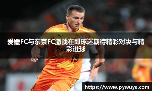 ac米兰体育官网
