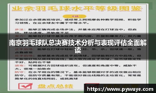 南京羽毛球队总决赛技术分析与表现评估全面解读