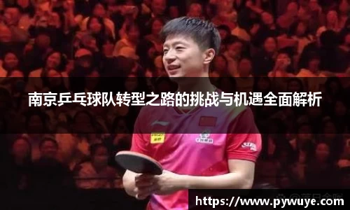 南京乒乓球队转型之路的挑战与机遇全面解析